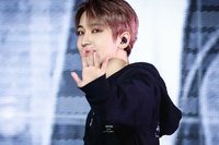 羽（3/1–4/23不在台灣暫停出貨）