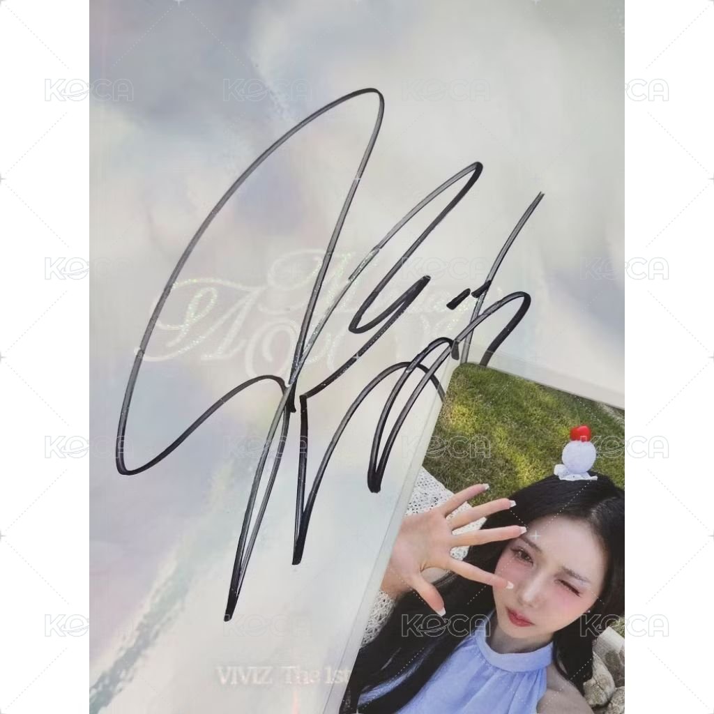 VIVID版 SinB