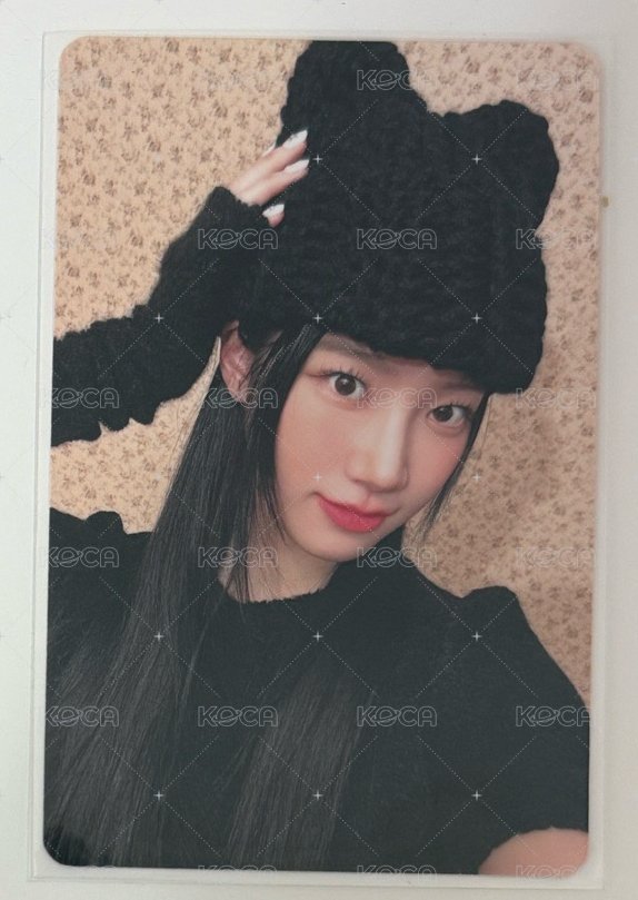 貓兒葉