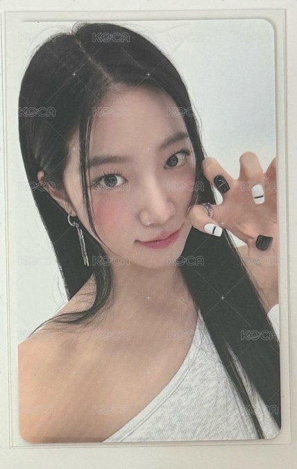 貓爪葉