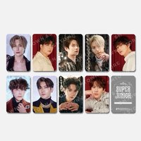 正規10 The Renaissance 卡冊