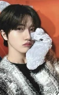 DtC : E sw 5.0 簽售卡 貓