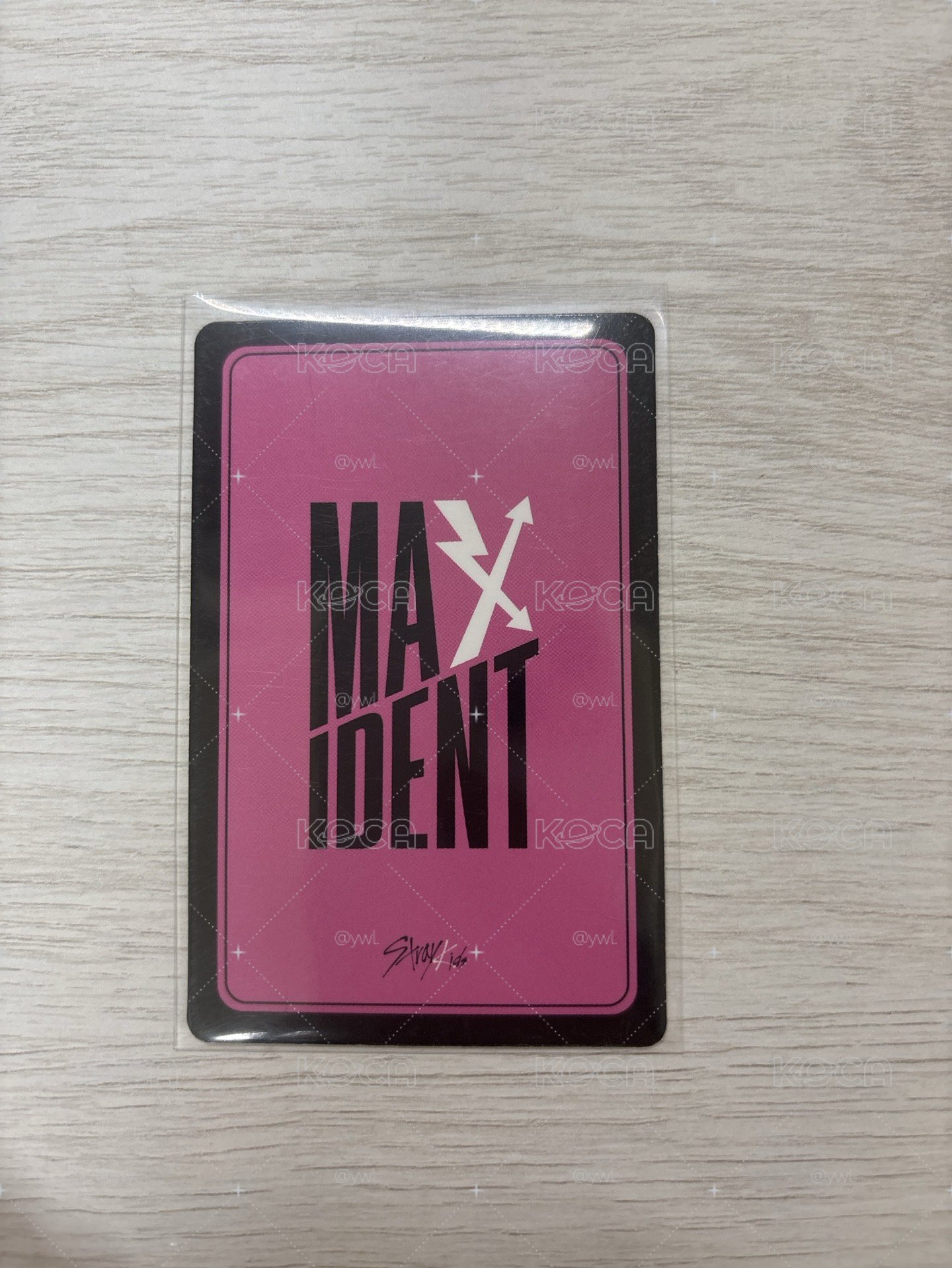 max 大頭狗特典