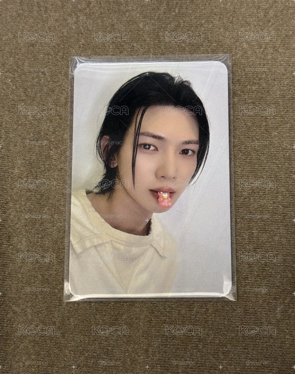 呂尚 小熊軟糖 簽售卡