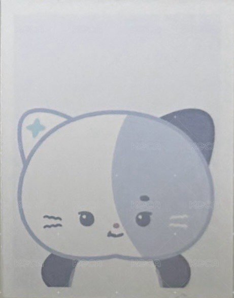 <Beautiful Mind>World Tour 周邊卡 ID證件照 背面