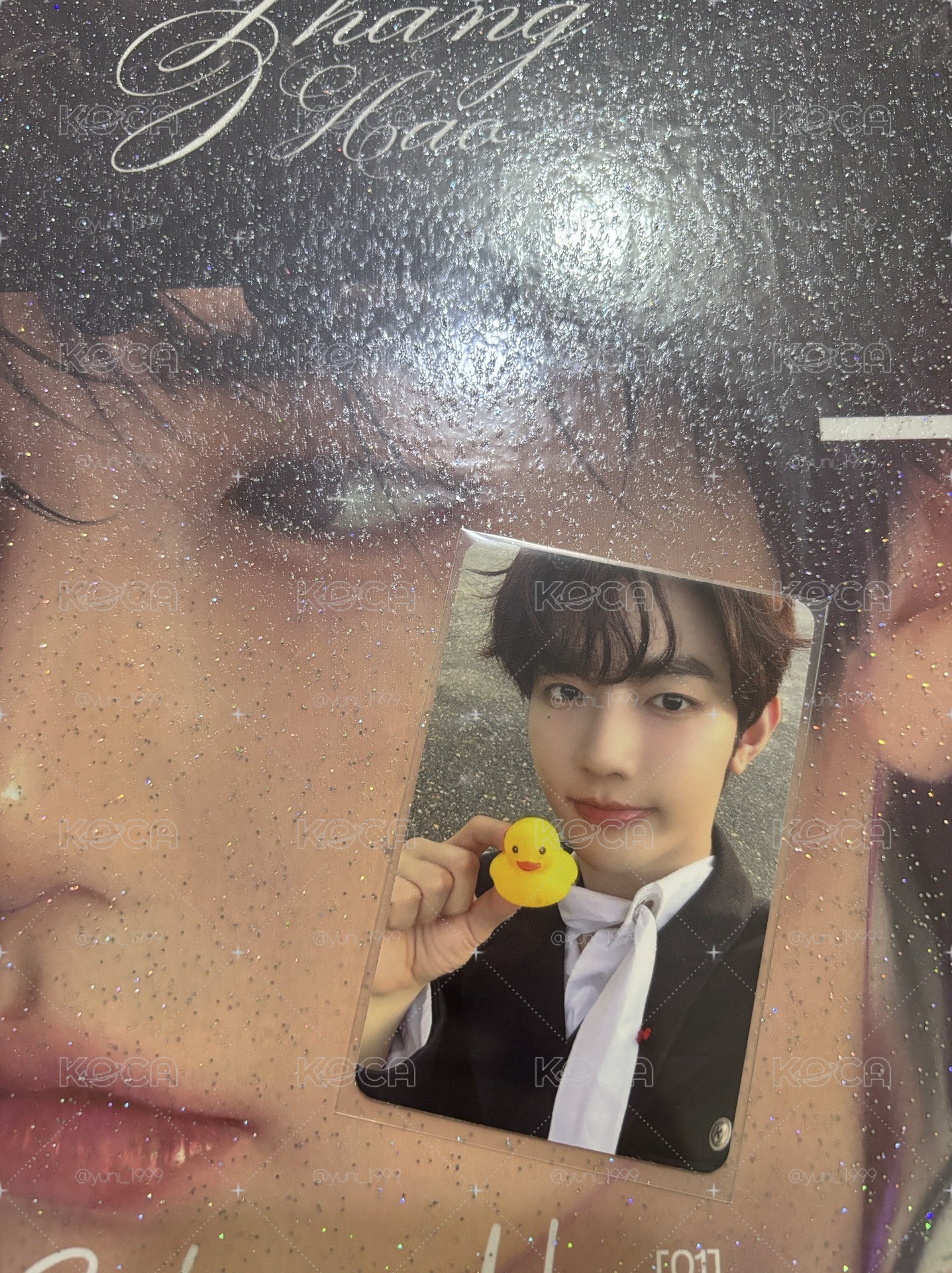 鴨鴨昊