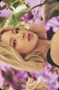 Lil' Touch 固卡 專輯卡 