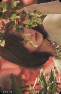 Lil' Touch 固卡 專輯卡 