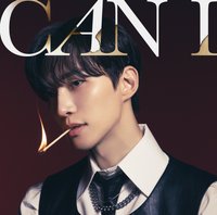 Type A 完全生產限定盤