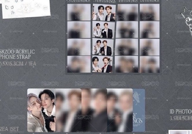 Straykids六期會員禮 城菲雙人卡+城菲人生四格+貼紙