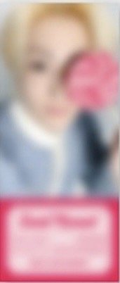 甜蜜主題 GIFT ver.書籤 隨機卡 