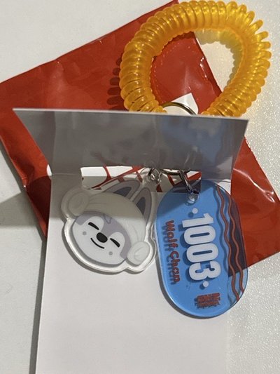 Skz夏日快閃 桑拿隨機吊飾