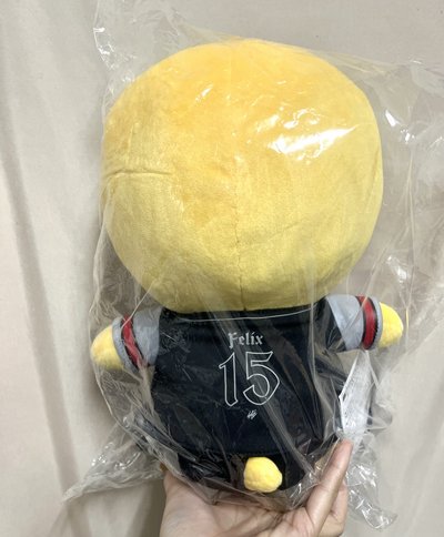 Stray Kids dominATE JAPAN 靜岡場 坐娃