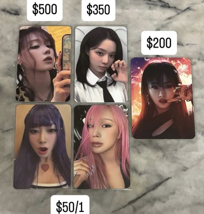 現貨dw 美網冬和ma 狗狗冬