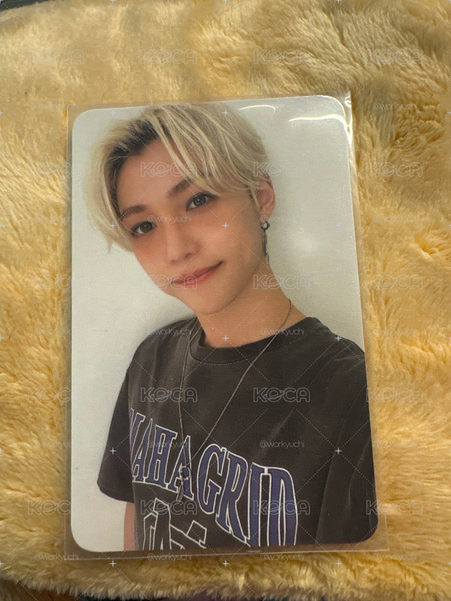 Felix 衣服卡2.0