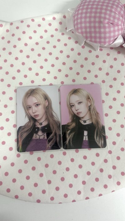 吉他手帥狗🎸🐶