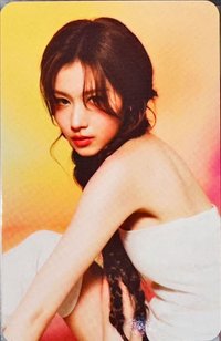 迷13 專輯卡 電子專