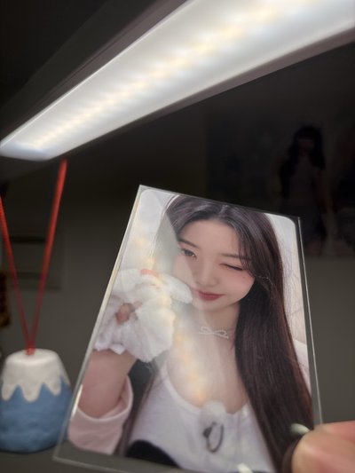 MINIVE SCHOOL 快閃滿額 員瑛