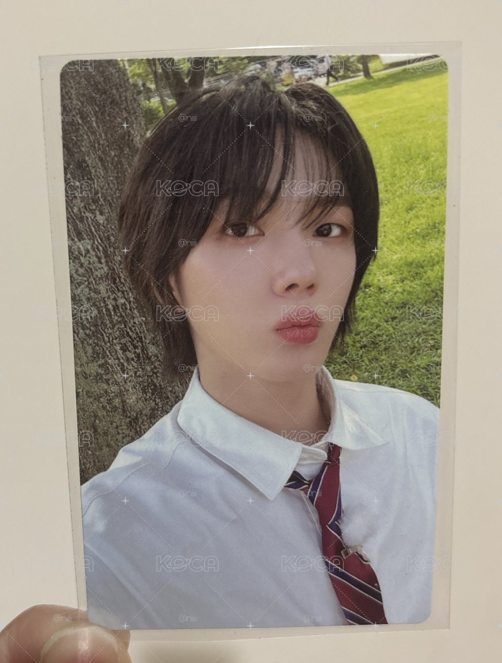 朴成淏 校服1 草地1