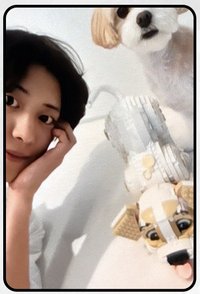 UPSIDE DOWN QQ音樂 星光卡 一星