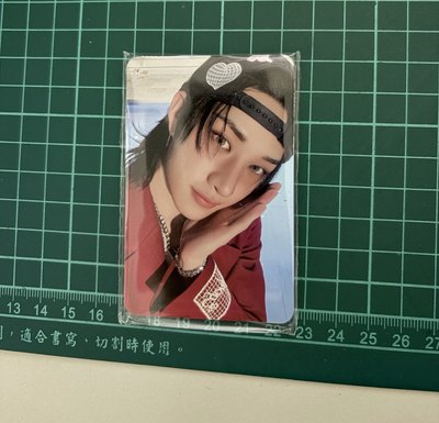 Stray kids-Do it專卡