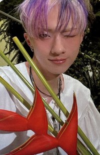 HARMONY : ALL IN Y GLOBAL MUSIC 特典卡 