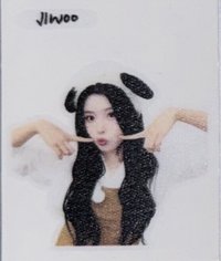 正規一 am 簽售卡 動物咖啡廳