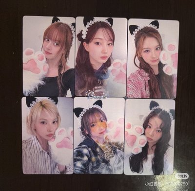 喵喵拳變化卡 非現