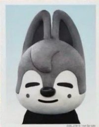 2024 FC 演唱會 DVD / CD 卡 Blu-ray 完全生產限定盤 證件照