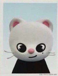 2024 FC 演唱會 DVD / CD 卡 Blu-ray 完全生產限定盤 證件照