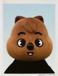 2024 FC 演唱會 DVD / CD 卡 Blu-ray 完全生產限定盤 證件照