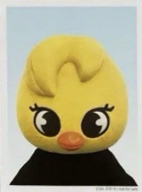 2024 FC 演唱會 DVD / CD 卡 Blu-ray 完全生產限定盤 證件照