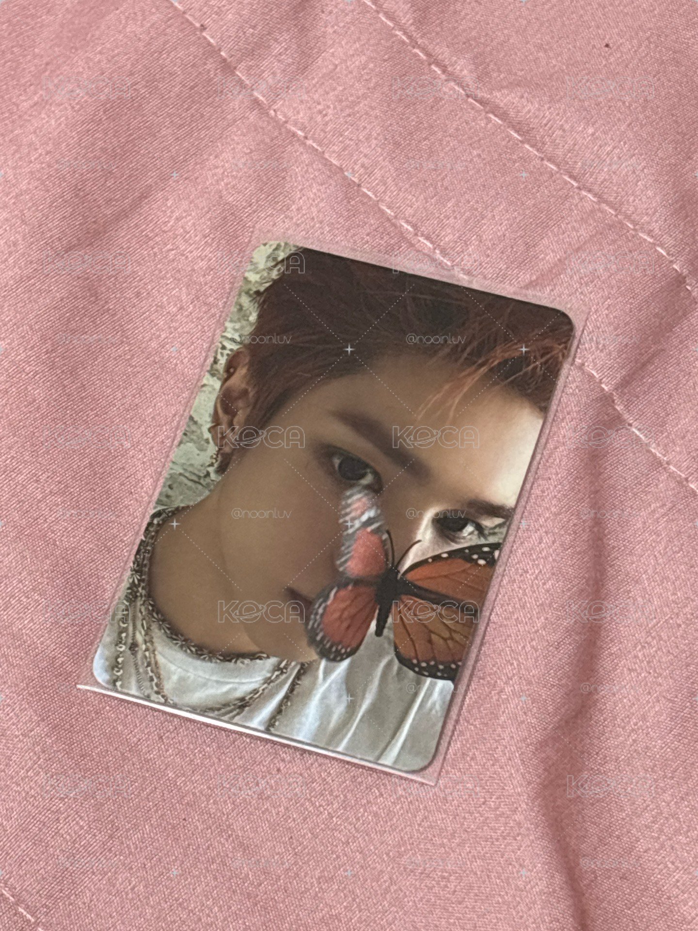 🦋容