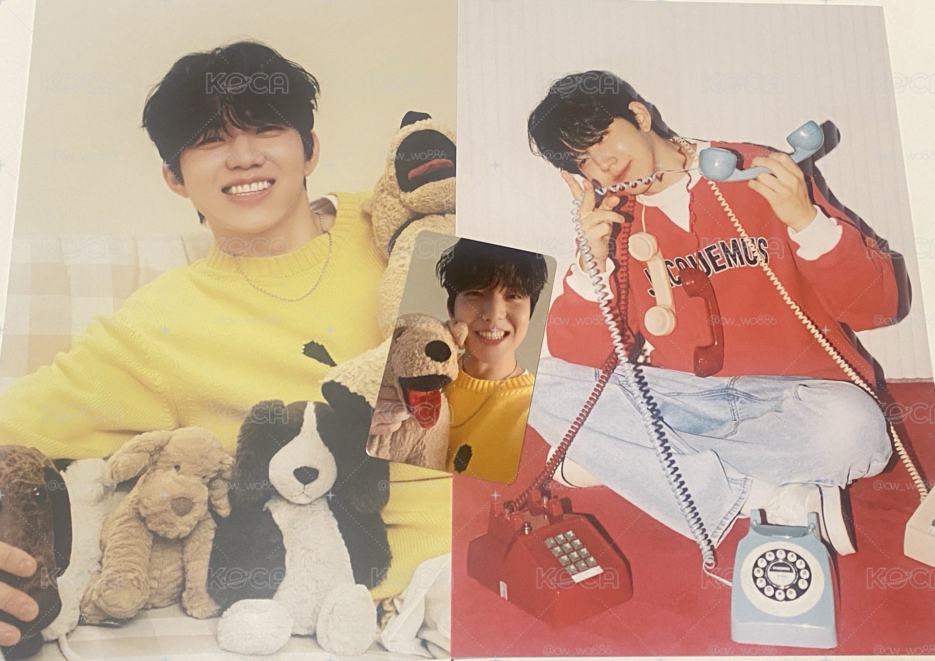 🐶2026年曆Set🍀含Fans特典