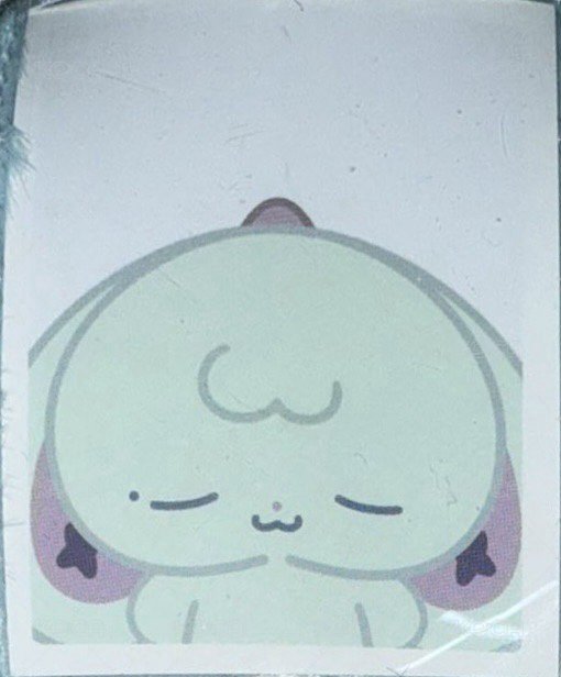 <Beautiful Mind>World Tour 周邊卡 ID證件照 背面