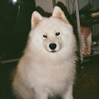 6onna（放假中）