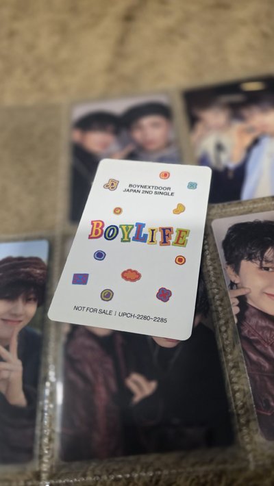 直出✨️ Boylife 雲鶴 哩嗚 豆腐 雙人卡