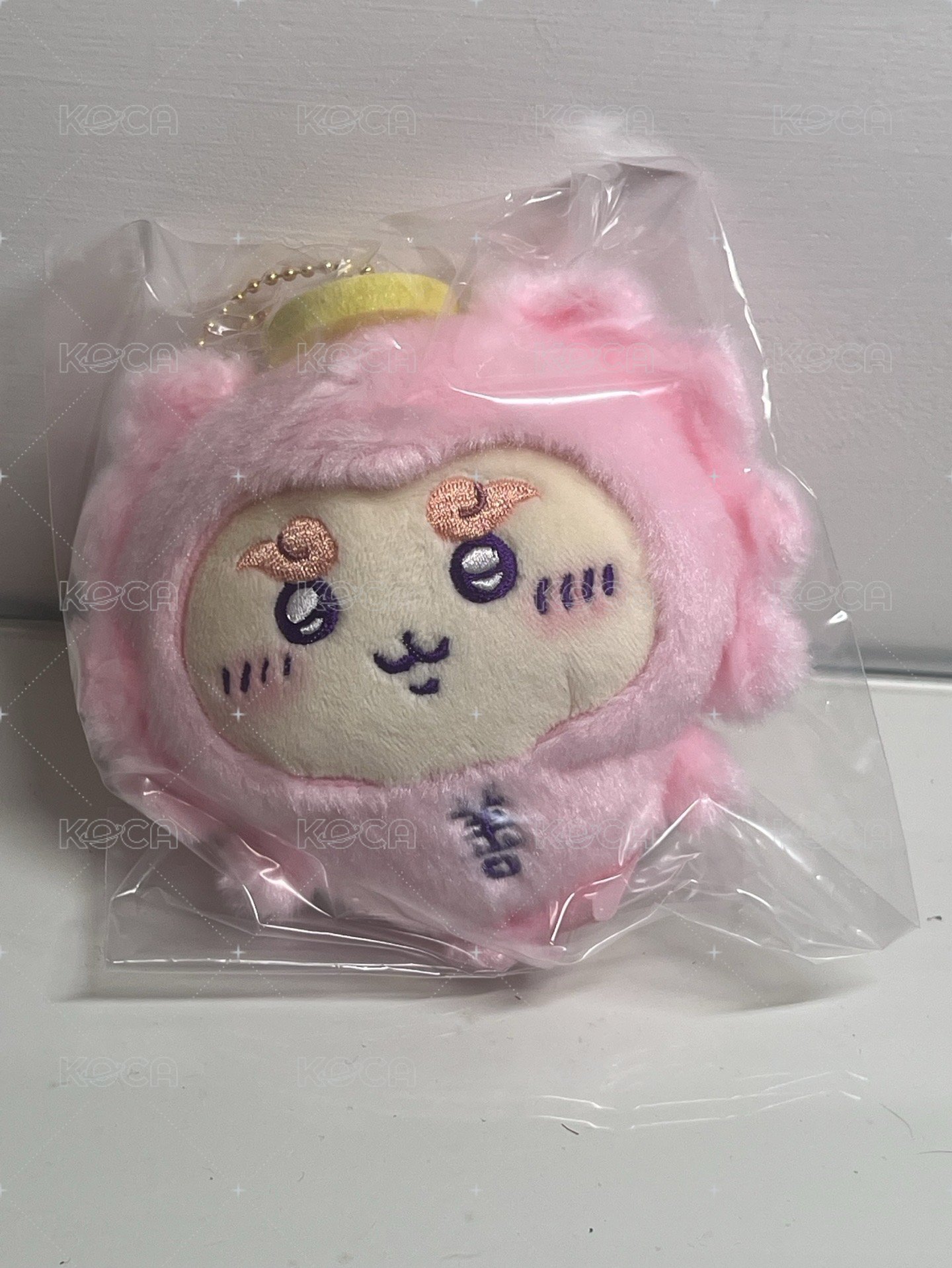 善獅薩