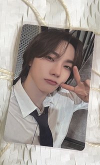 19.99 wvs預售特典卡 SUNGHO