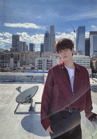 Clé 2 : Yellow Wood 生寫真 