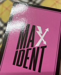 Max大頭彬（卡背有廠損）