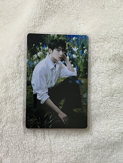 ENHYPEN 韓安場週小卡