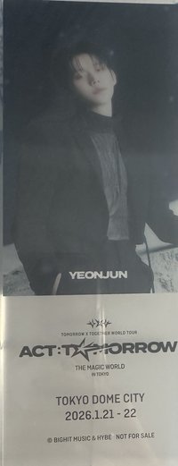 25’巡迴 東京摩天輪 入場卡 / 場限卡 透卡