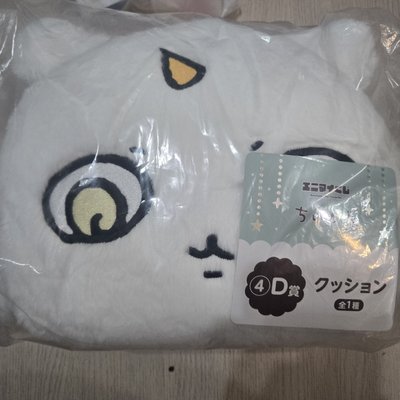那孩子D賞抱枕