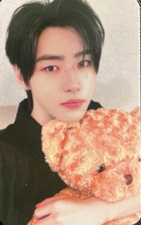 正二 yzy 預售4.0抱熊 特典卡 