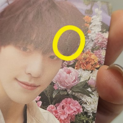 YOUR CHOICE HMV 感謝祭 花牆燦