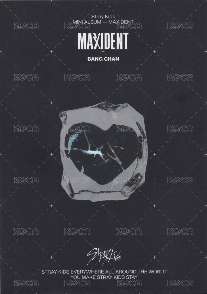 MAXIDENT 海報 迷你海報 背面