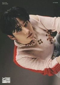 MAXIDENT 海報 迷你海報