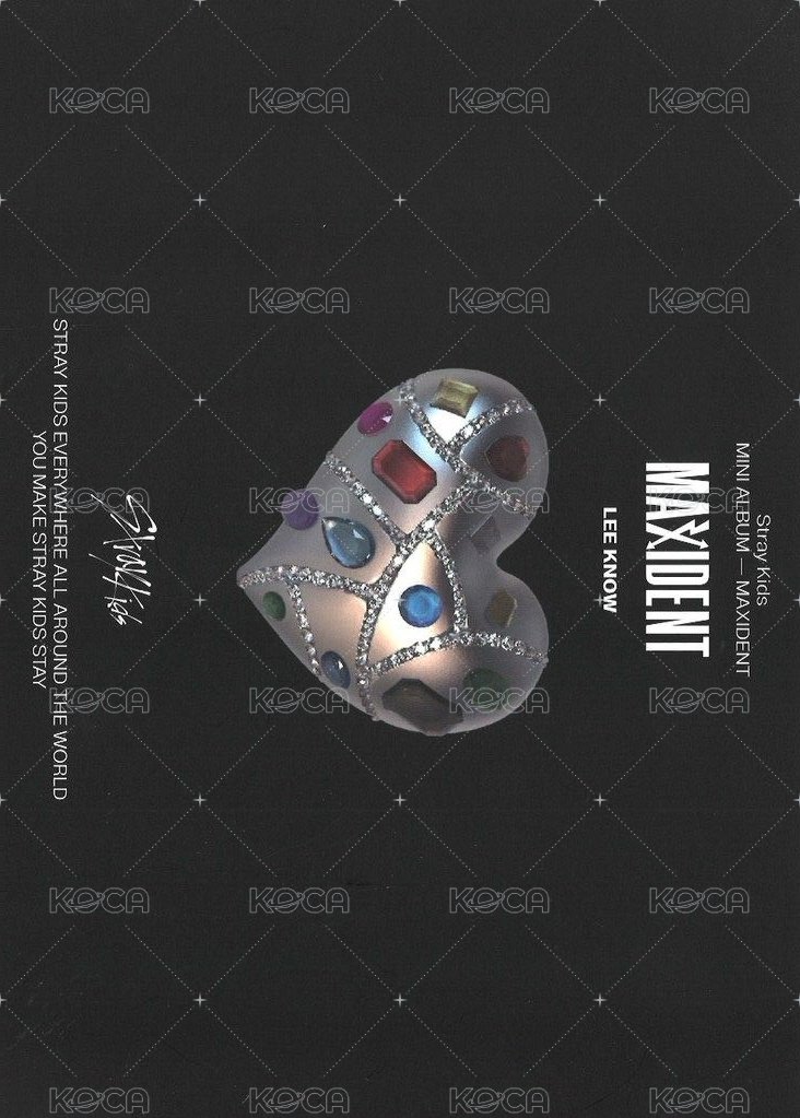 MAXIDENT 海報 迷你海報 背面