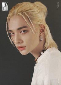 MAXIDENT 海報 迷你海報